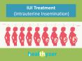 Find Hospitals for IUI Treatment in India at Healthyzer.com PowerPoint PPT Presentation