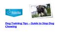 Dog Training Tips – Guide to Stop Dog Chewing PowerPoint PPT Presentation