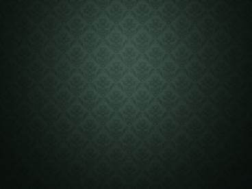 Tampa Based SEO Company - VSF Marketing