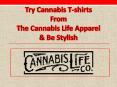 Try Cannabis Tshirts from the Cannabis Life Apparel & Be stylish PowerPoint PPT Presentation