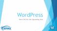 Wordpress – Best CMS for the Upcoming Year PowerPoint PPT Presentation
