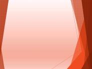 Websites Designer in Tampa - Tampa Bay Website Designer