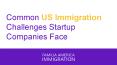 Common US Immigration Challenges Startup Companies Face PowerPoint PPT Presentation