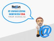 #1 IT consulting Services and solution NY