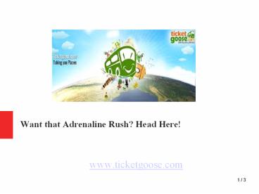 Want that Adrenaline Rush? Head Here!