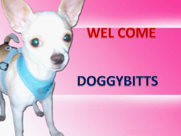 Adjustable dog seat belt