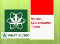 Various CBD Extraction Trends PowerPoint PPT Presentation