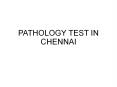 Vitaminb12 test lab in Chennai PowerPoint PPT Presentation