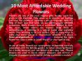 10 Most Affordable Wedding Flowers PowerPoint PPT Presentation