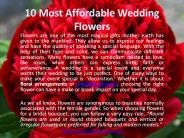 10 Most Affordable Wedding Flowers