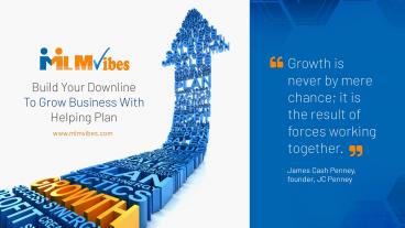 Best MLM helping Plan – Mlm Vibes