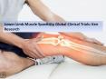Global Lower Limb Muscle Spasticity Market Forecast, Lower Limb Muscle Spasticity Market Size PowerPoint PPT Presentation
