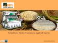 Tea Seed Sorter Machine Manufacturers PowerPoint PPT Presentation