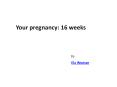 Your pregnancy: 16 weeks PowerPoint PPT Presentation