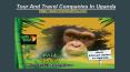 African Safari Tour Packages PowerPoint PPT Presentation