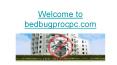 Bed Bug Elimination Palo Alto CA, Bed Bug Inspection for Hotels Palo Alto CA, Bed Bugs San Mateo CA PowerPoint PPT Presentation