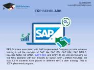 How to Benefit From SAP FICO Training Institute