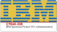 C9060-528 VCE Test