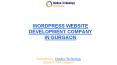 Wordpress Website Development Company in Gurgaon (2) PowerPoint PPT Presentation