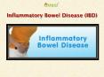 Inflammatory Bowel Disease: Symptoms, causes and treatment (1) PowerPoint PPT Presentation