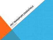 Domestic Pet Transport Australia