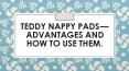 Teddy Nappy pads — advantages and how to use them PowerPoint PPT Presentation