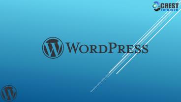 Hire WordPress Developer