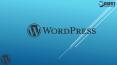 Hire WordPress Developer PowerPoint PPT Presentation