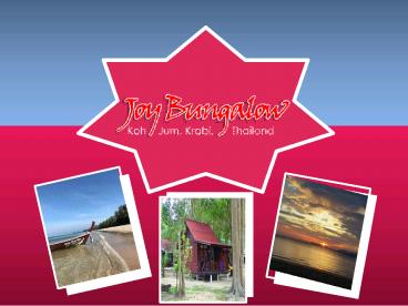 Joy Bungalow- Book your Stay