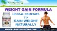 Herbal Supplement To Gain Weight Naturally - Weight Gain Formula