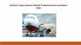 Aviation Cargo Systems Market Professional Survey Report 2018 PowerPoint PPT Presentation