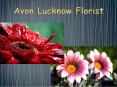 Send Flowers to Lucknow (3) PowerPoint PPT Presentation