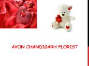 Send Flowers to Chandigarh (2)