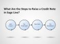What Are the Steps to Raise a Credit Note in Sage Live? PowerPoint PPT Presentation