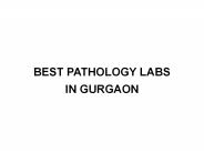 Hepatitis b test lab in Gurgaon