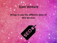 SEO Services in Raipur