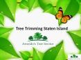 Tree Trimming Staten Island PowerPoint PPT Presentation