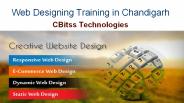 Web Designing Training in Chandigarh (2)