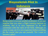 Biayasekolah Pilot in Indonesia