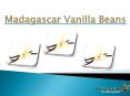 vanilla bean extract PowerPoint PPT Presentation