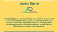 Digital Marketing in Austin - Auden Digital PowerPoint PPT Presentation