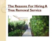 The Reasons For Hiring A Tree Removal Service