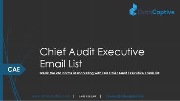Email List of Chief Audit Executive