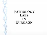 Glucose - Fasting Blood (1) in Gurgaon