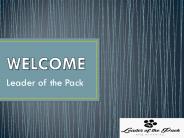 Find  The First Class Dog Grooming Services in Buckinghamshire