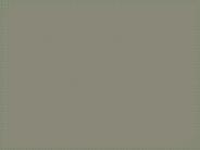 BIO 2070 Course Marvelous Learning - snaptutorial.com