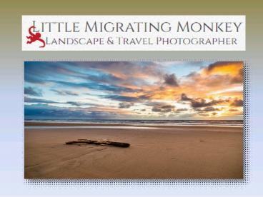 Amazing the world best Landscape photography- Little Migrating