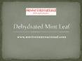 Dehydrated Mint leaf powder Supplier and exporter PowerPoint PPT Presentation