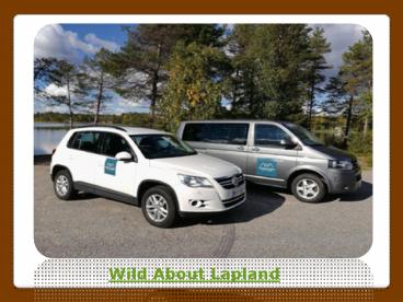 Wild About Lapland