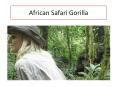 Best Gorilla Encounter and African Safari Tours PowerPoint PPT Presentation